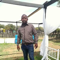 zenzele Ngwenya Sibanda