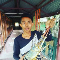 Mohd shamilan Sambulan