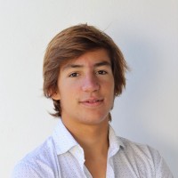 Gonçalo Monjardino