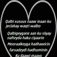 Hodan Ali