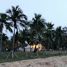 Mathivanan Palani
