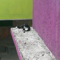 Edith Lechuga Garcia