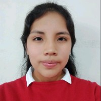 Stefany Nicol Medina Sulluchuco