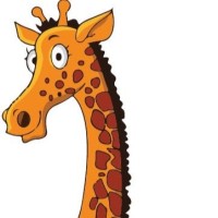 HR Giraffe
