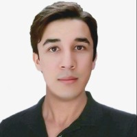 Ali Rezai