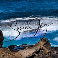 Susan Joy Northover