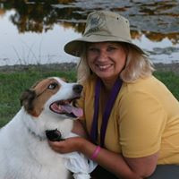 Stacey del Fabbro