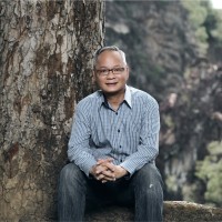David Kong