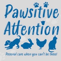 Pawsitive Attention