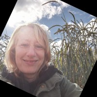 Lynne Rowan