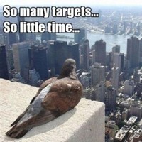 Perfect Job Solutions