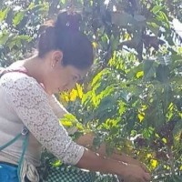 Rosa Maria Olvera López