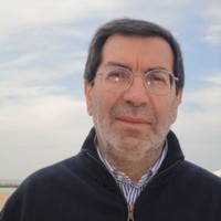 domenico lippolis