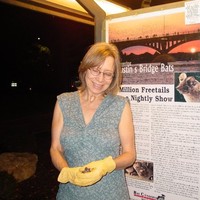 Dianne Odegard