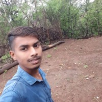 Vipul Padvi