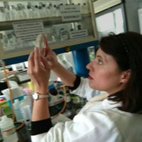 Verónica Montes de Oca