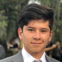 Sebastian Pena Pinilla