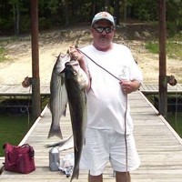 Dave Marcum
