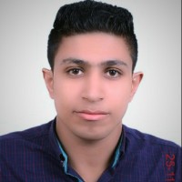 Sayed Ahmed