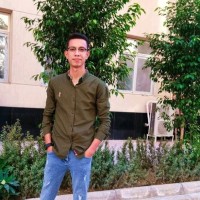Hesham Seleem