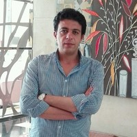 Mohamed Shafei
