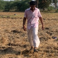 Krishna R