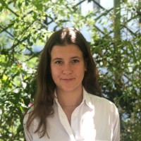 Louise Mynard