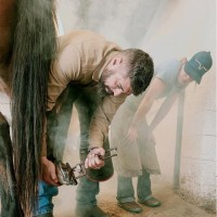 Diego Almeida, CJF, AWCF