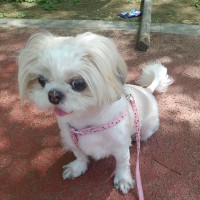서관용