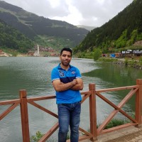 Ramy Fekry