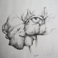 Isabelle-Belsai huart