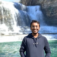 Vinay T.