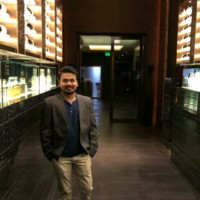 Ravindra P.