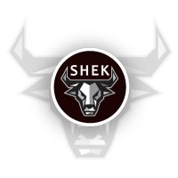 Abi Shek