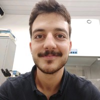 Gabriel Gomide