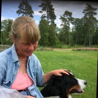 Cristine Larsson