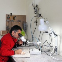 Pierre Abi Saad