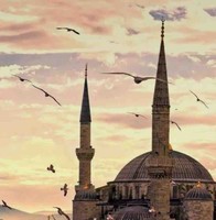 Marwan Hassan