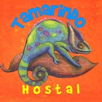 Tamarindo Hostel