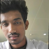 Dheenadhayalan V