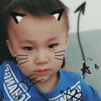 潘柳柳