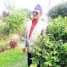 Bed prasad Paneru