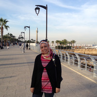 Nermin Hassan Ibrahim