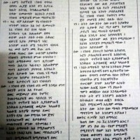 Tarekegn Shiferaw
