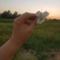 اسيل ربيع جاسم محمد