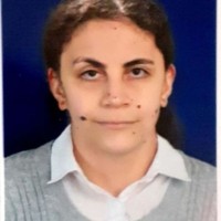 Lizeth Andrea Puentes Silva