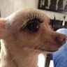 Annabelle Fox