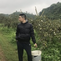 Viet Vo