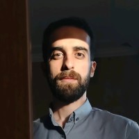 hadi mohebbi