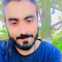 Hamza Mir